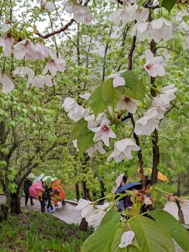 福壽山農場必遊景點推薦｜盡享自然美景