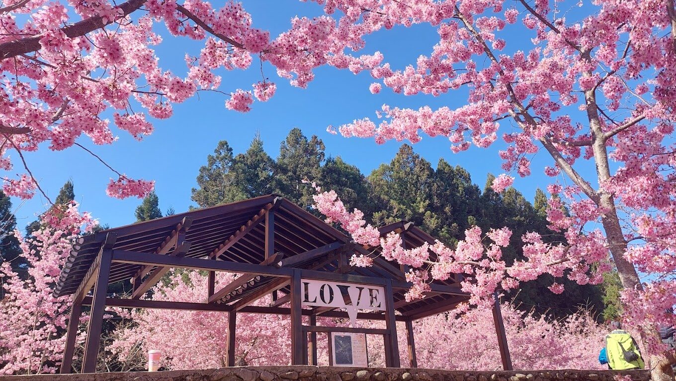 福壽山農場必遊景點推薦｜盡享自然美景