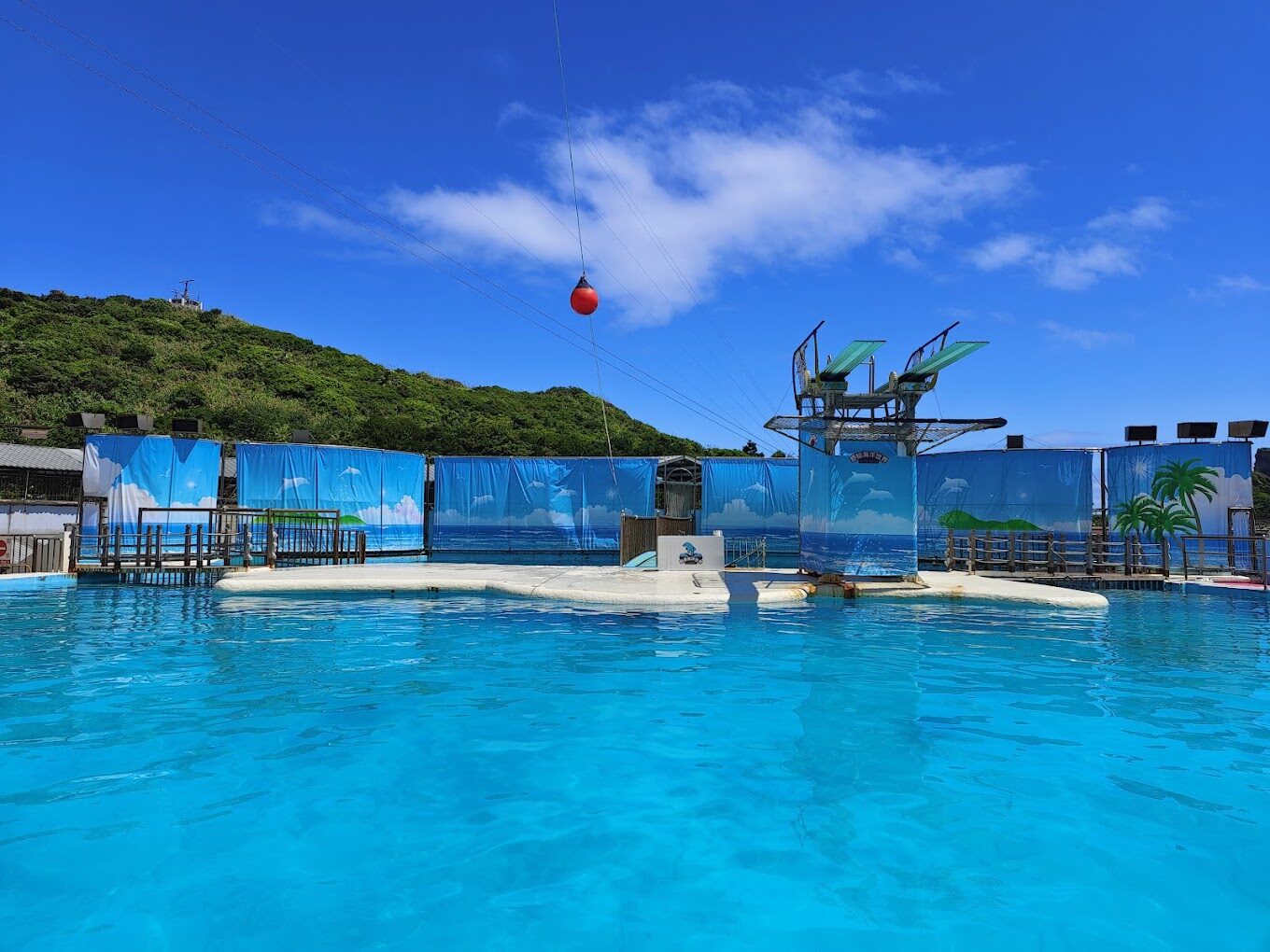 【2025】遊野柳海洋世界不踩雷的必知技巧