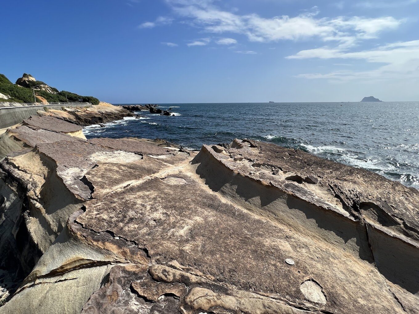 【2025】遊野柳海洋世界不踩雷的必知技巧