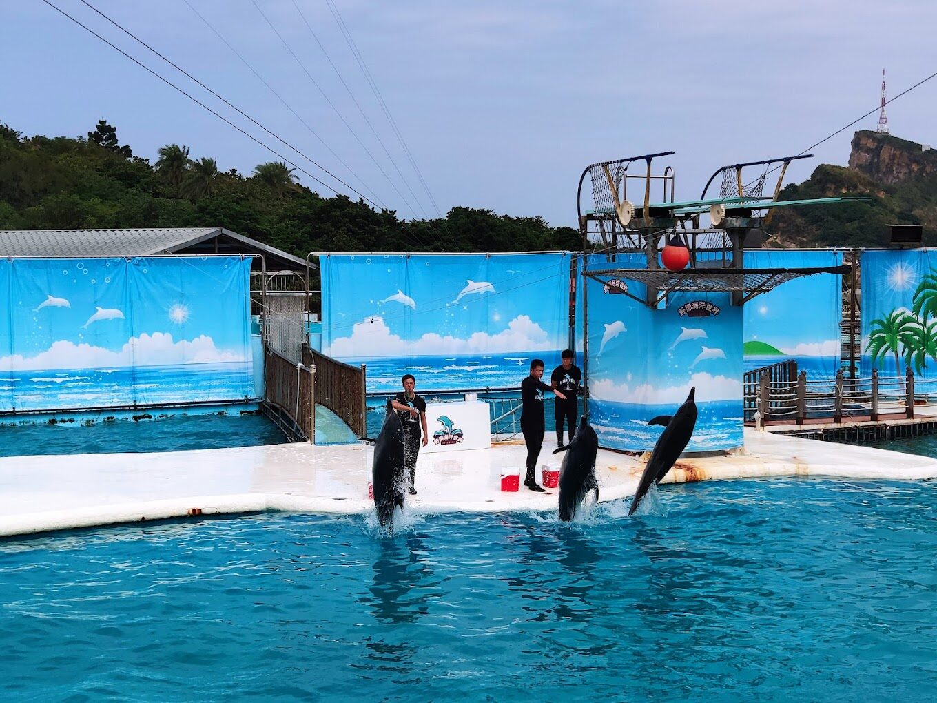 【2025】遊野柳海洋世界不踩雷的必知技巧