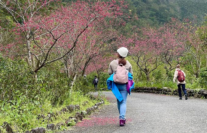 九寮溪步道不踩雷攻略|必備裝備與最美拍攝地點大公開