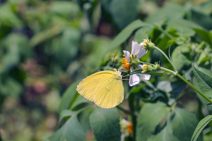 九寮溪步道不踩雷攻略|必備裝備與最美拍攝地點大公開