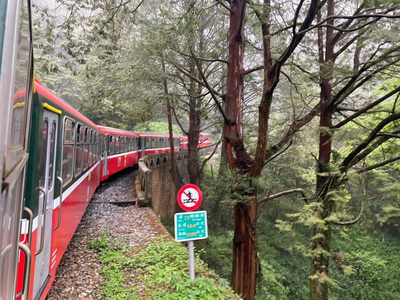 【2025】避免錯過這阿里山小火車的必遊景點
