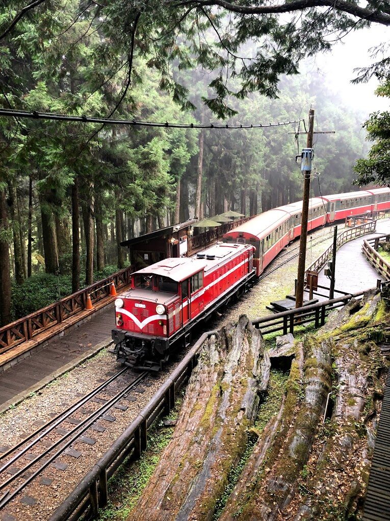 【2025】避免錯過這阿里山小火車的必遊景點
