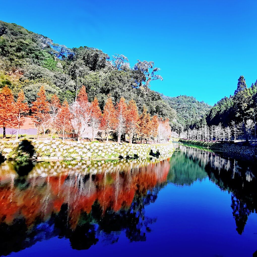 杉林溪大飯店不可錯過的特色｜旅遊達人的親身體驗分享
