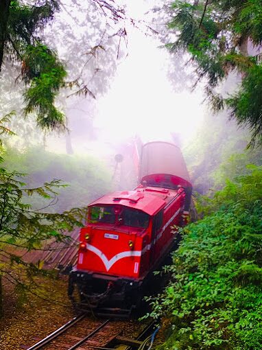【2025】如何避開阿里山小火車的遊客擁擠？尋找最佳旅行時間