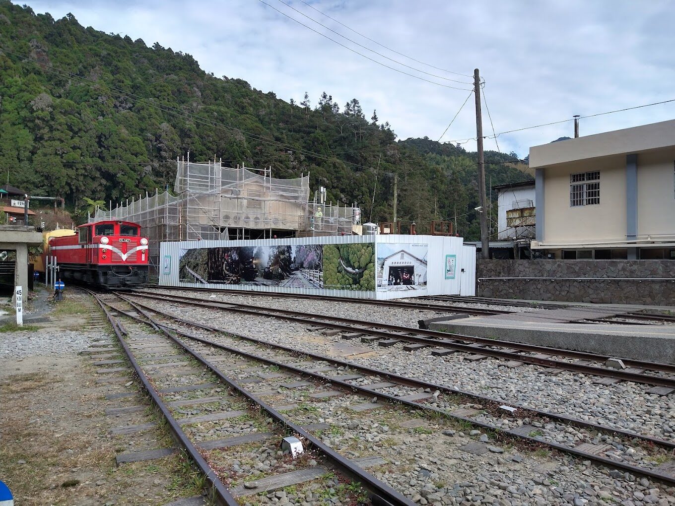 【2025】如何避開阿里山小火車的遊客擁擠？尋找最佳旅行時間