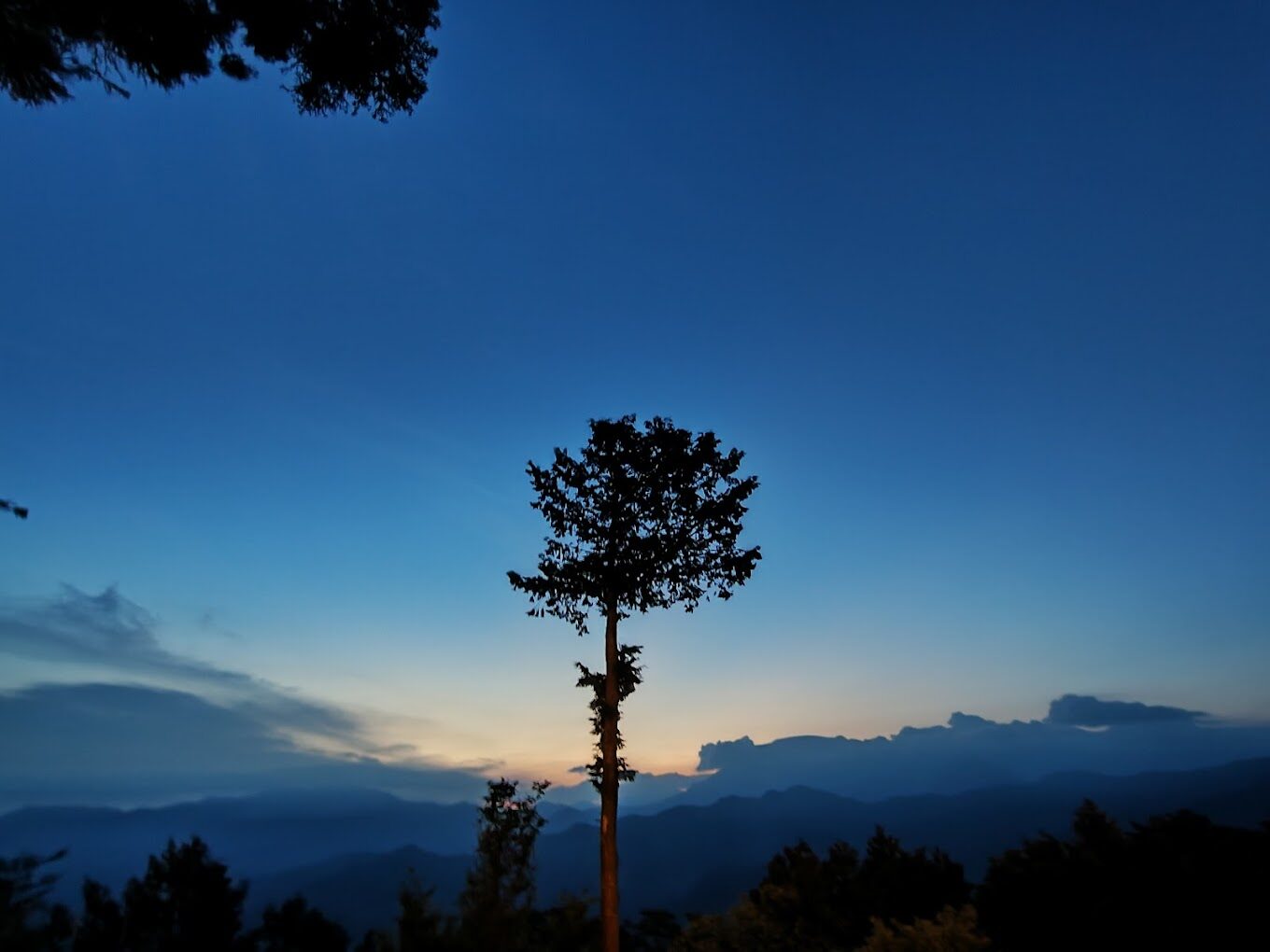 【2025】阿里山必去景點大解析|避開人潮的秘境推薦