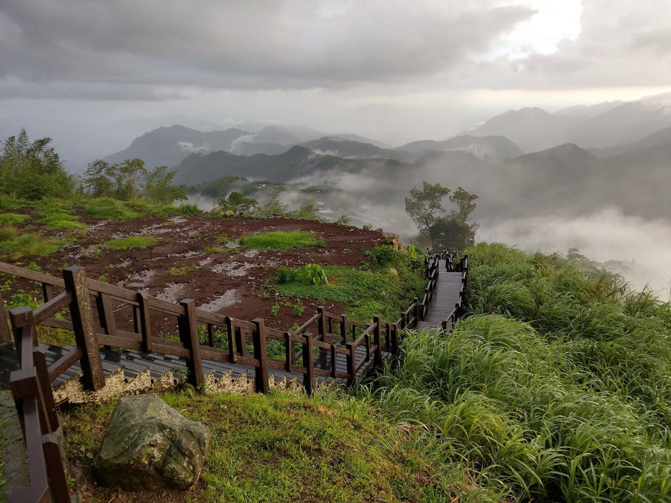 【2025】阿里山必去景點大解析｜避開人潮的秘境推薦
