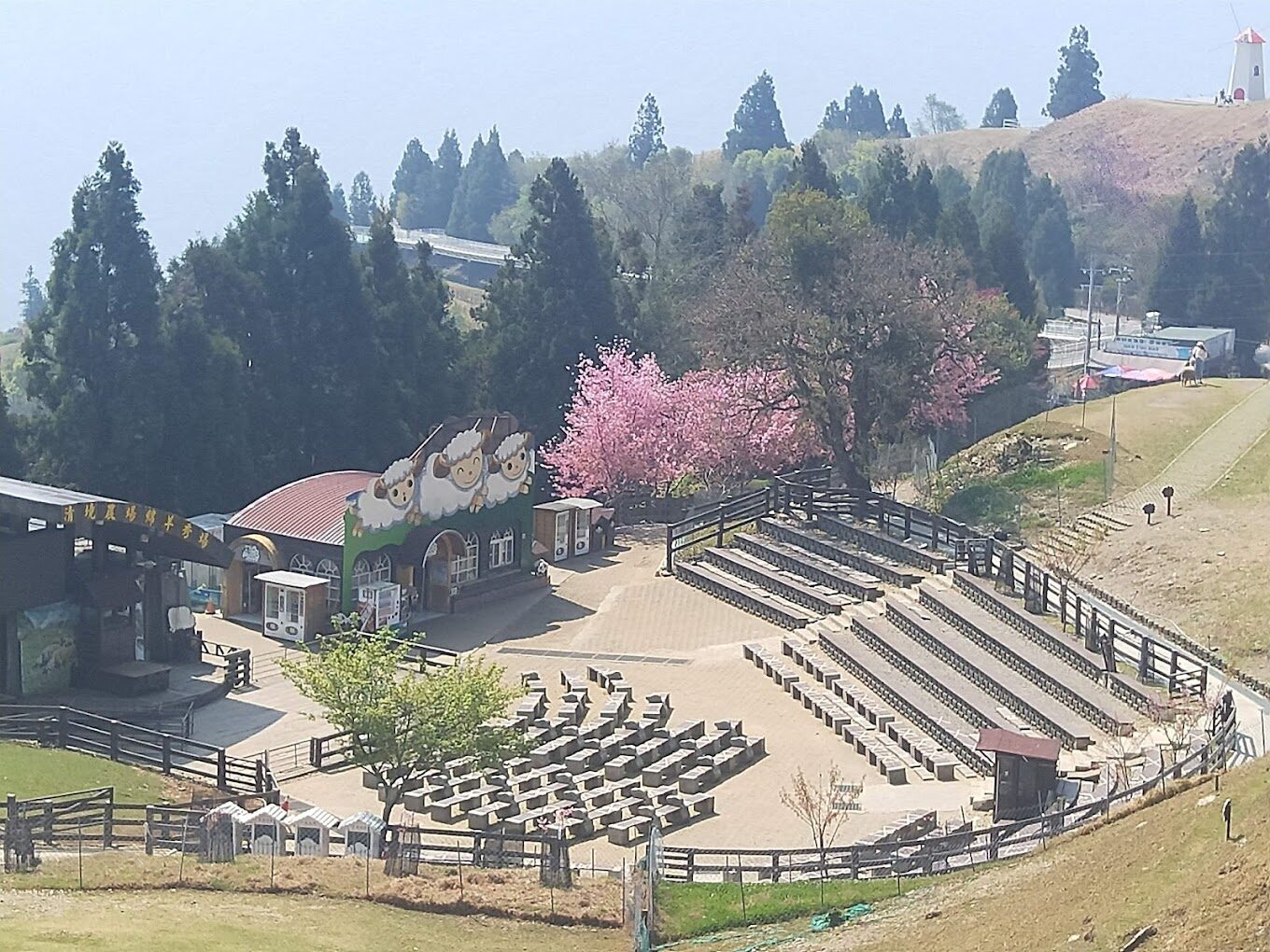 2025清境農場旅遊攻略:必訪景點、住宿推薦與在地美食