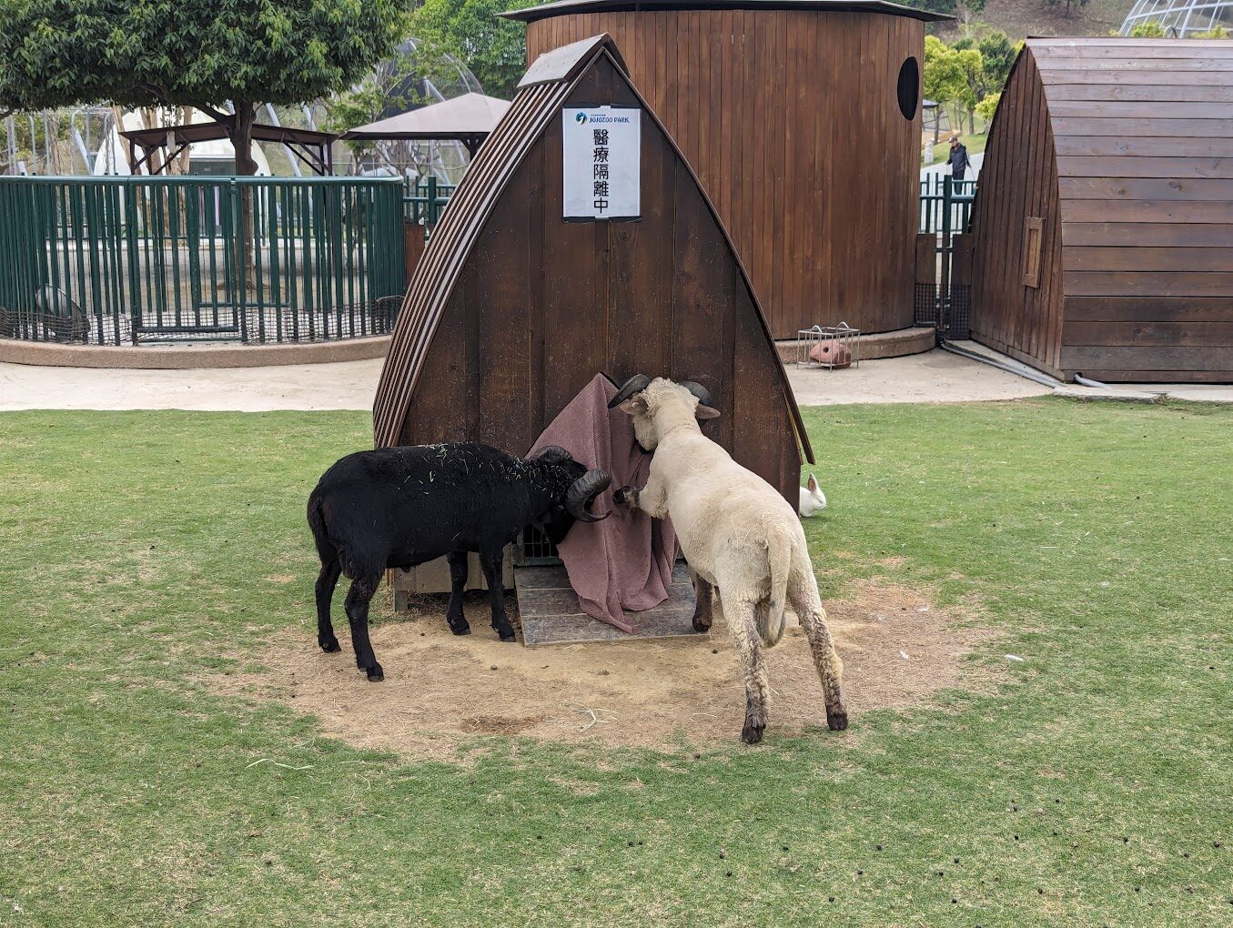 2025九九峰動物樂園必遊攻略｜親子同遊的動物互動體驗