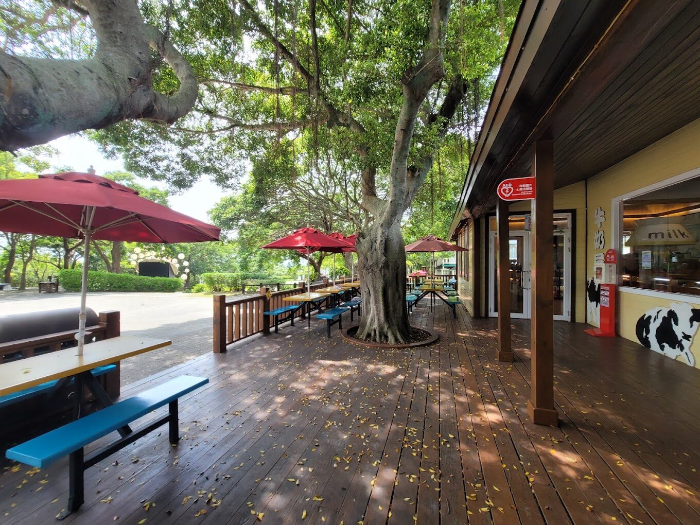 【2025】飛牛牧場旅遊全攻略｜避免浪費時間的小貼士