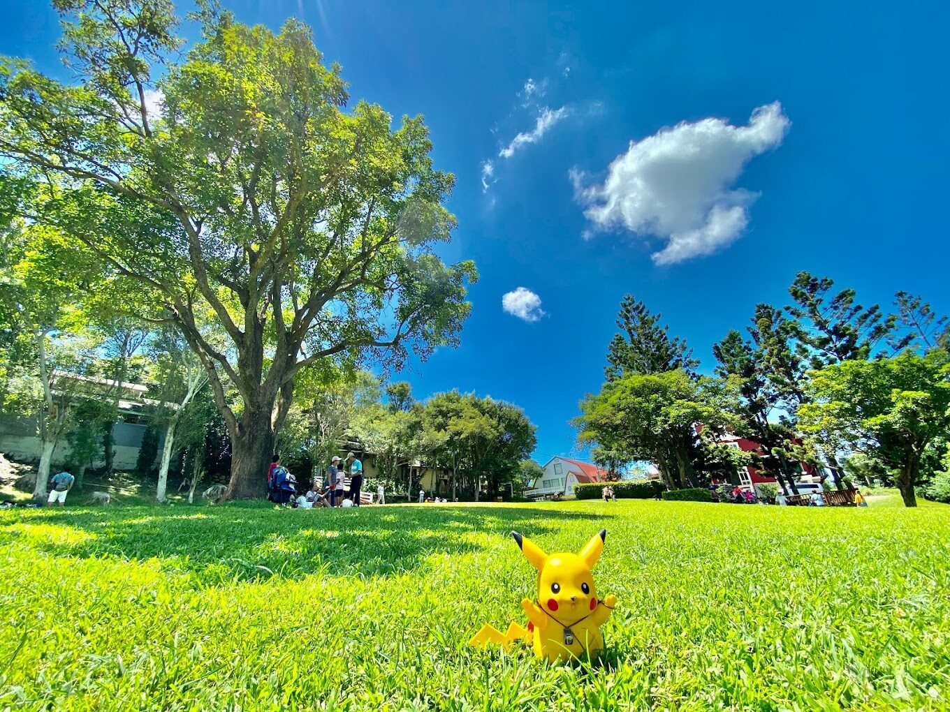 【2025】飛牛牧場旅遊全攻略｜避免浪費時間的小貼士