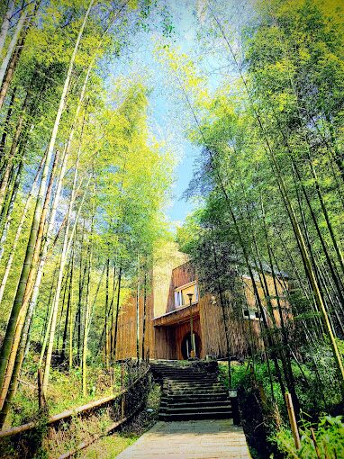 【2025】杉林溪避開人潮的秘境景點｜探索大自然的私密角落