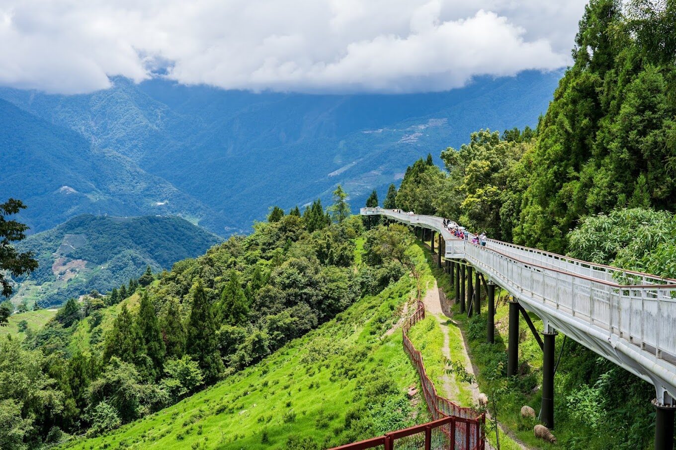 清境農場旅遊指南:不容錯過的景點與活動推薦