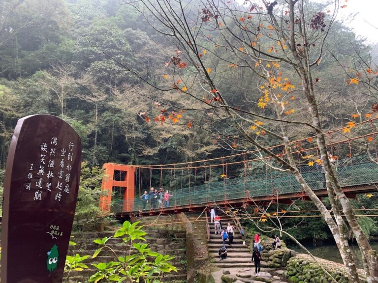 杉林溪秘境探索 | 不容錯過的絕美景點
