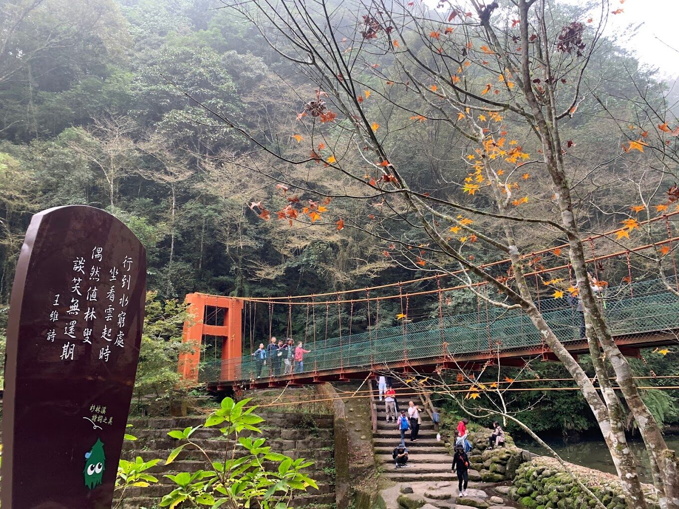 杉林溪秘境探索 | 不容錯過的絕美景點