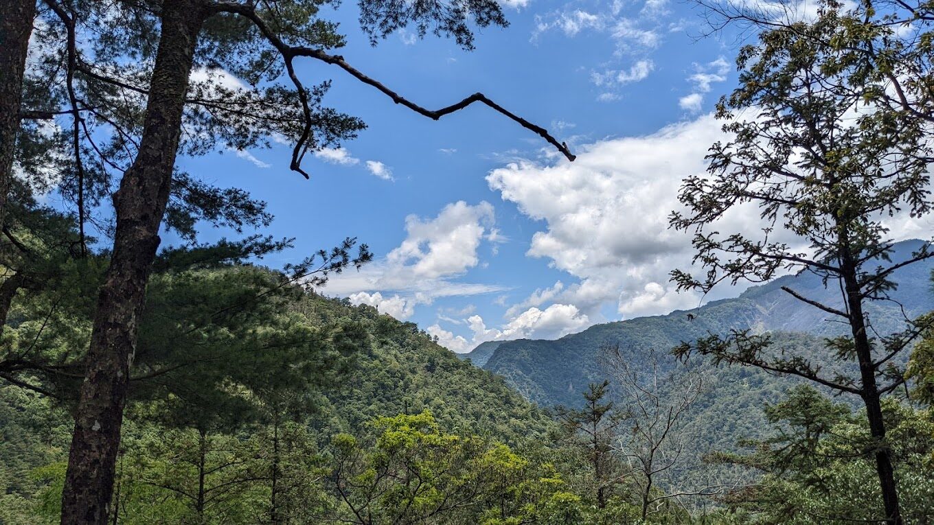 【2025】惠蓀林場必遊景點｜不容錯過的森林秘境