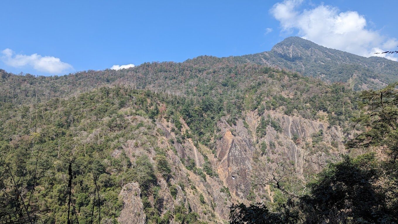 【2025】惠蓀林場必遊景點｜不容錯過的森林秘境