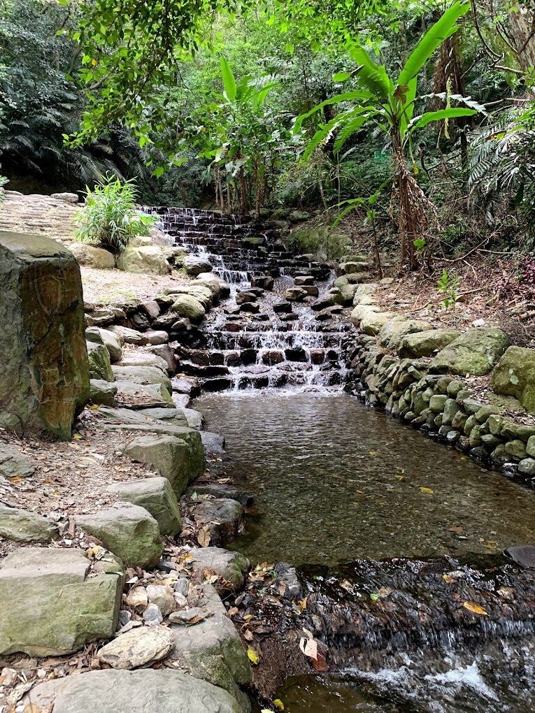 【2025】惠蓀林場必遊景點｜不容錯過的森林秘境