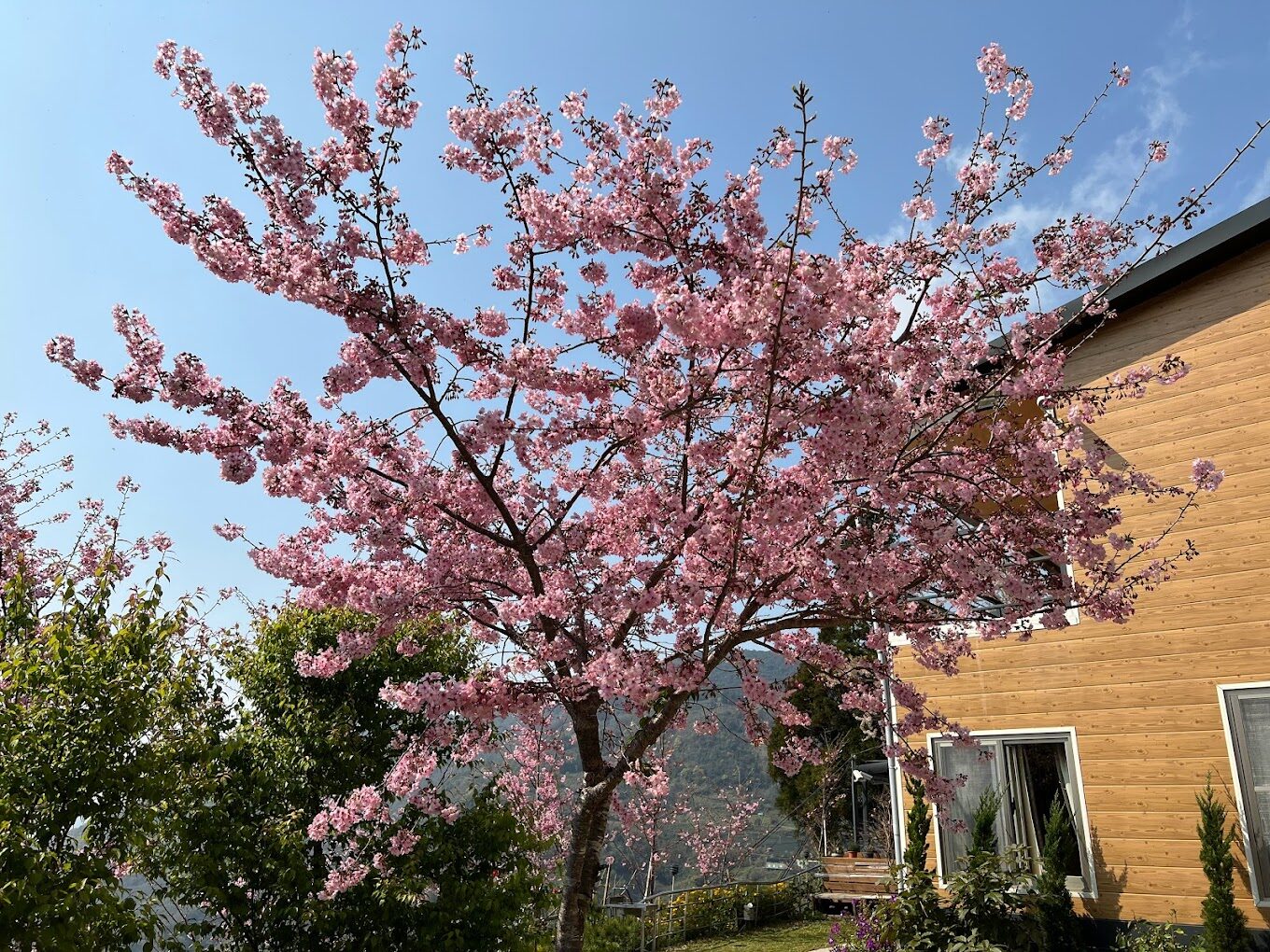 拉拉山住宿攻略|避開這地雷,享受完美山中度假