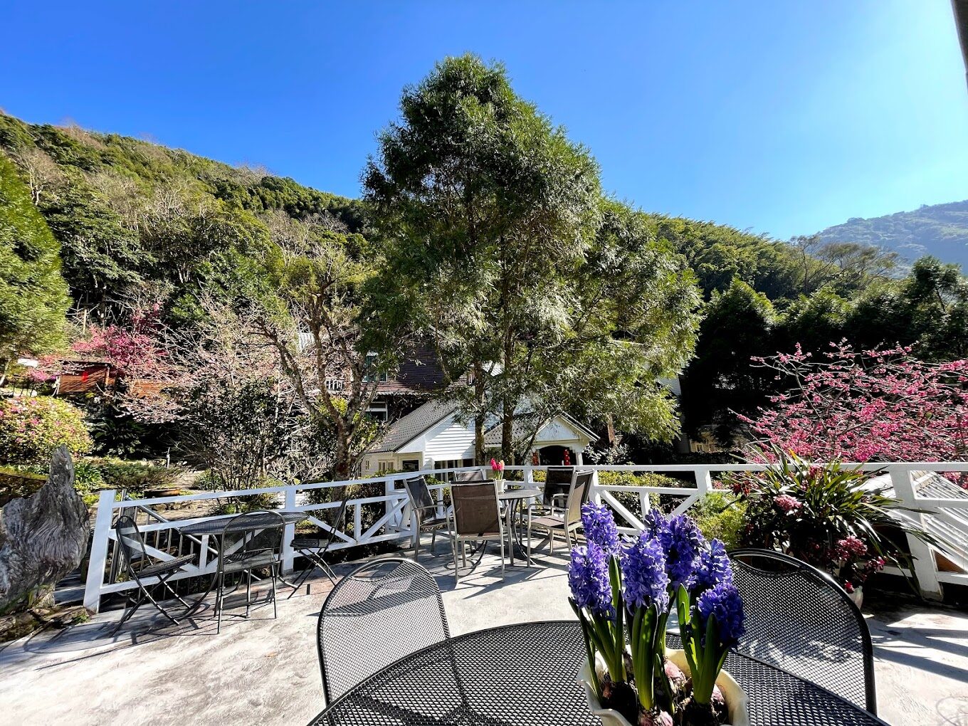 拉拉山住宿攻略｜避開這地雷，享受完美山中度假