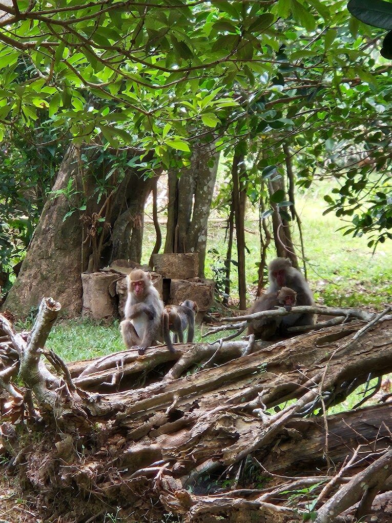 不容錯過的墾丁國家公園秘境景點推薦｜2025最新旅遊清單