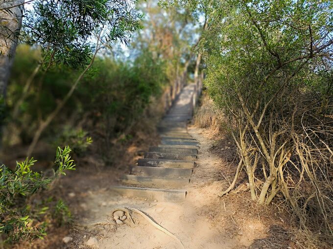 2025台中景點必遊清單｜避開高峰的秘境推薦