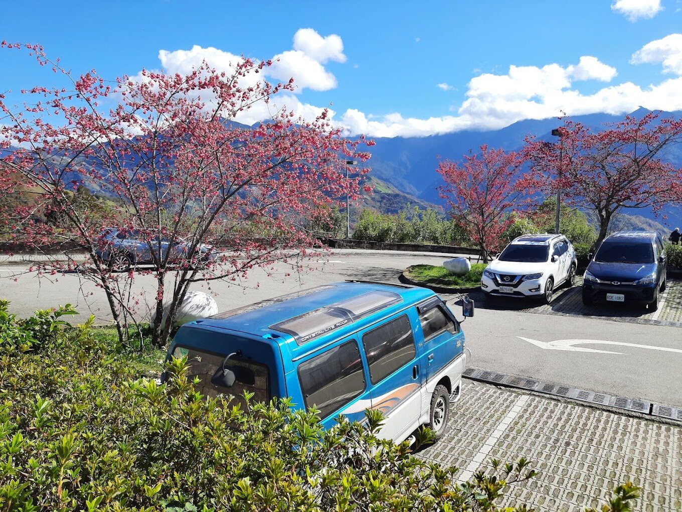 【2025】避開清境農場旅遊錯誤|如何規劃完美行程?