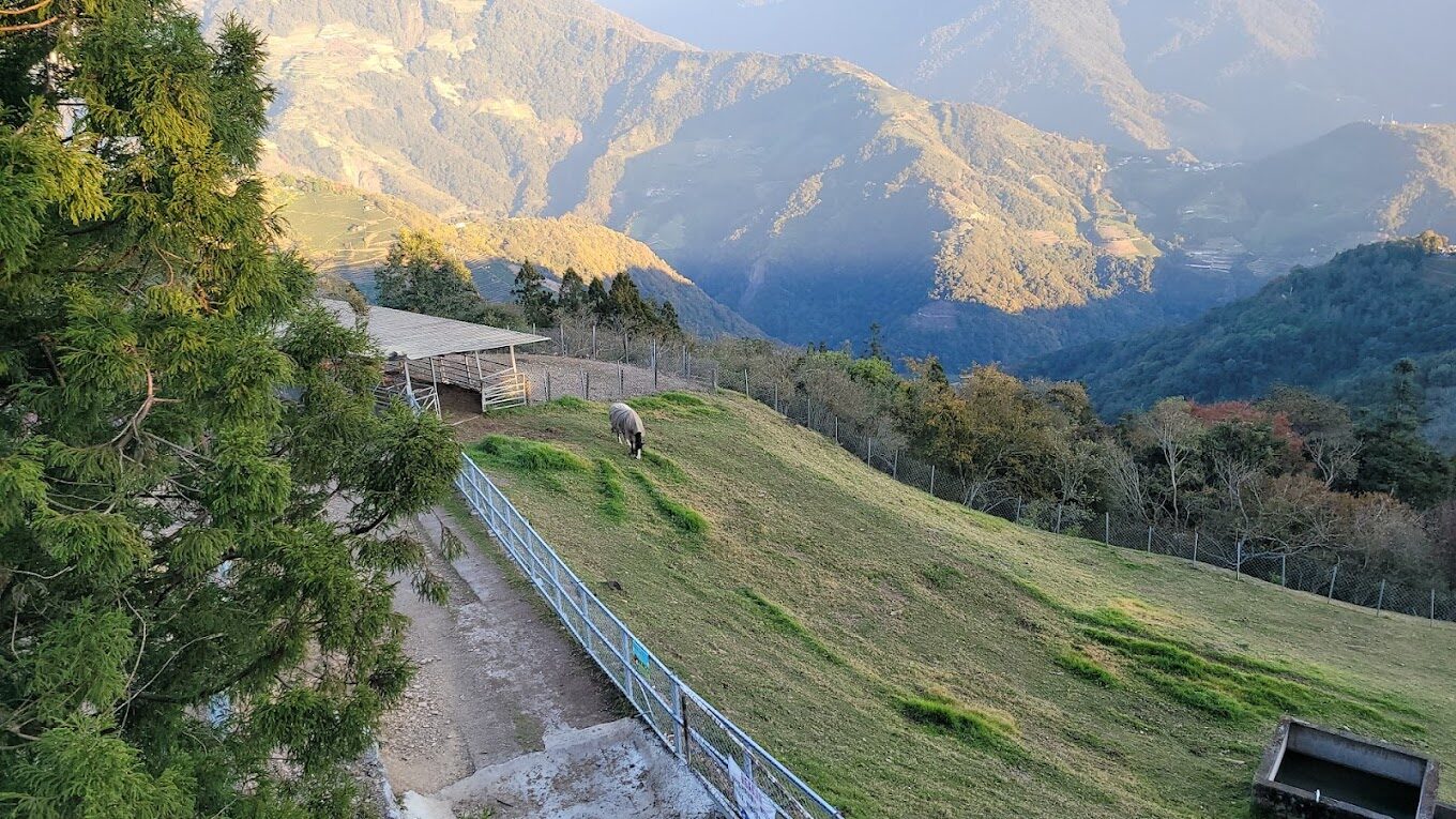 【2025】避開清境農場旅遊錯誤｜如何規劃完美行程？