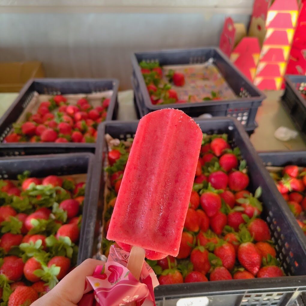 採草莓攻略｜你絕對不想錯過的隱藏草莓園推薦