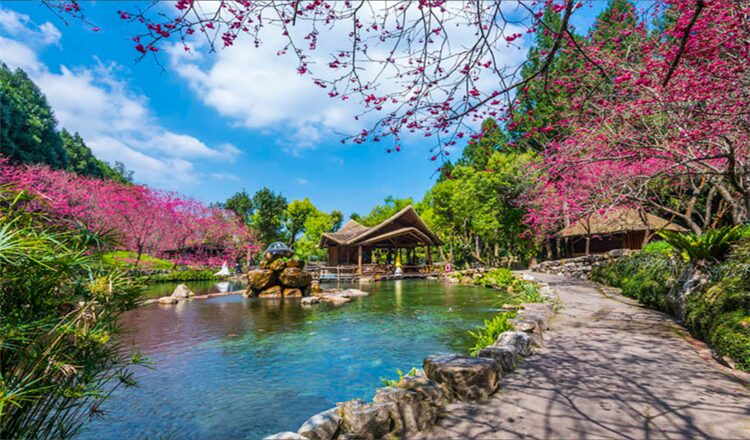 【2025】九族文化村必玩攻略｜避開旅遊陷阱的秘訣