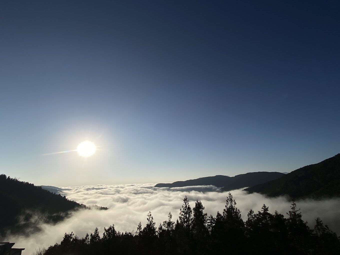 太平山莊旅遊指南｜不可錯過的體驗