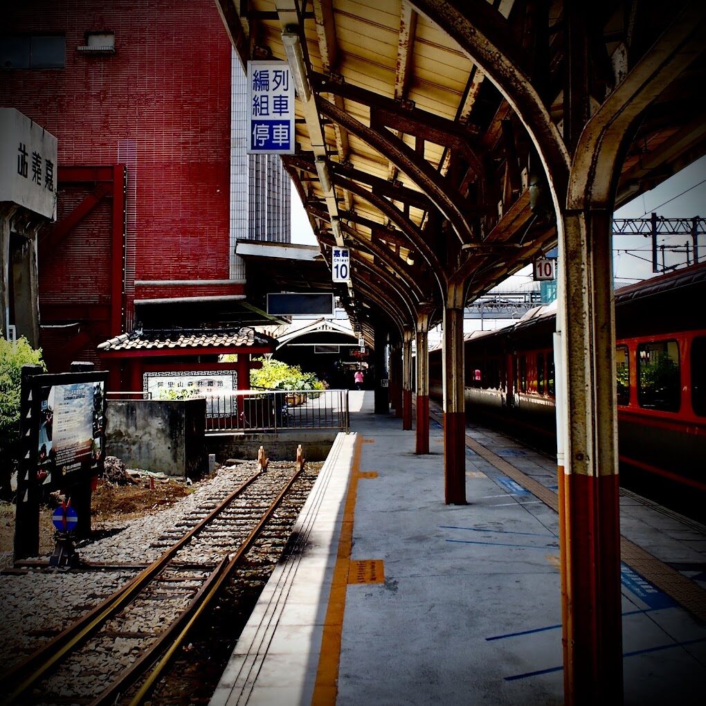 【2025】阿里山小火車必遊指南｜避免常見旅遊誤區