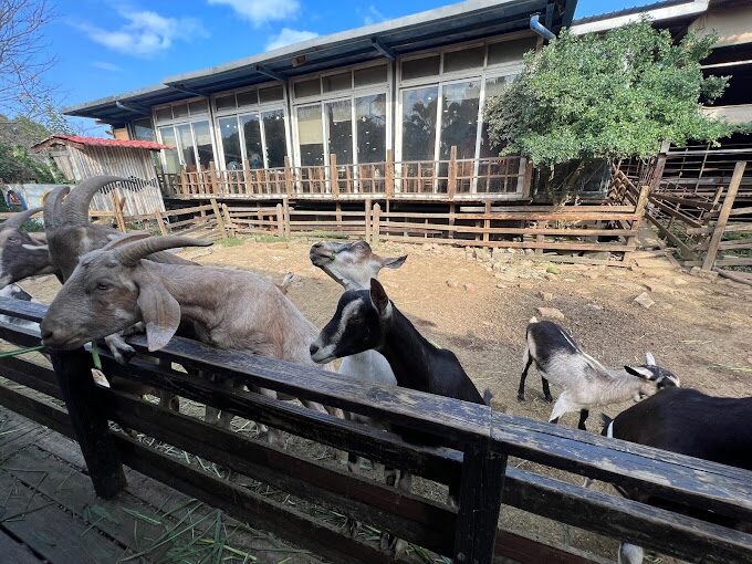 【2025】桃園農場必去景點｜踏上農村輕旅行，體驗不一樣的田園風光