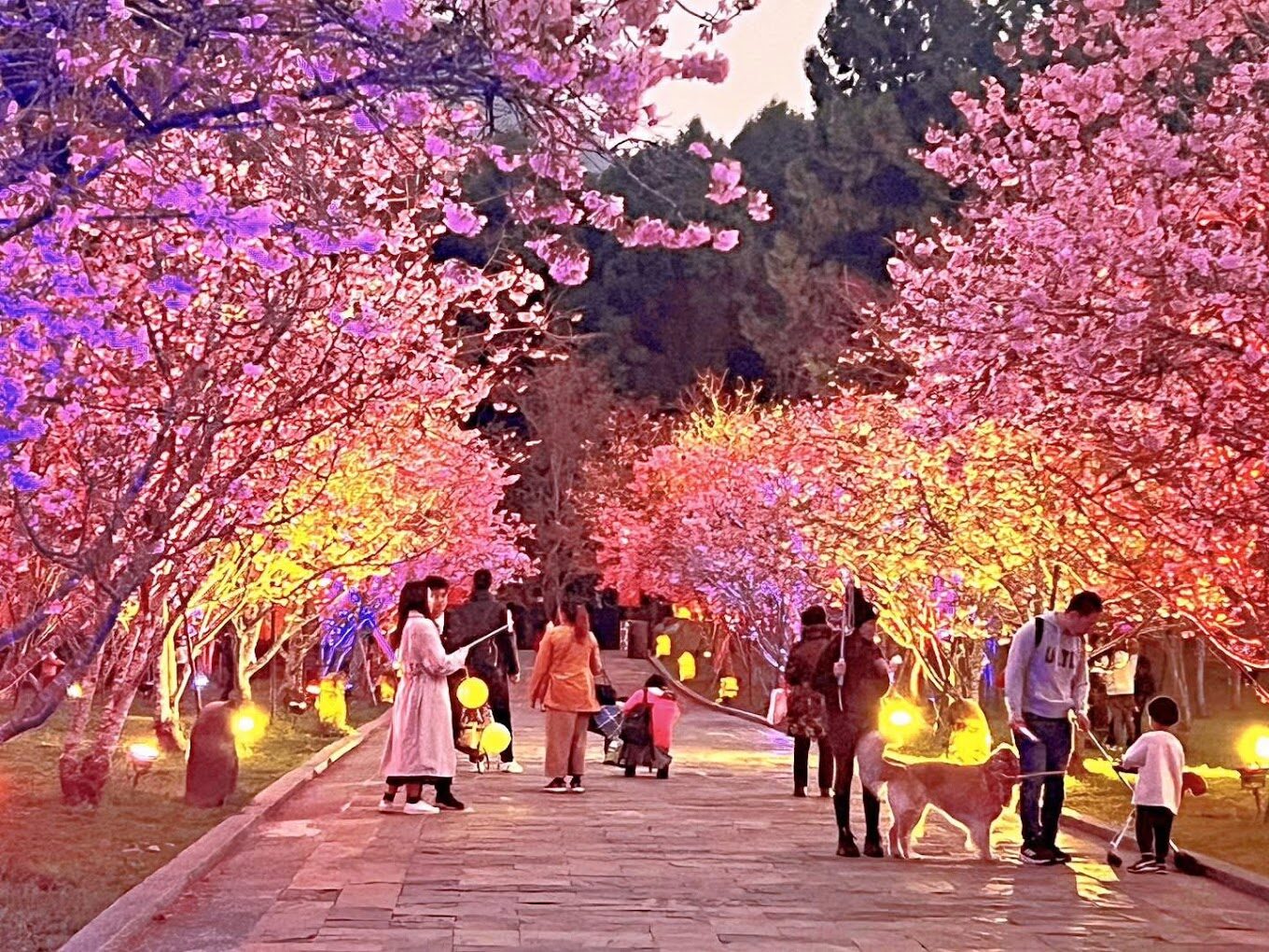 2025九族文化村必玩指南：避開這錯誤，體驗絕佳旅程