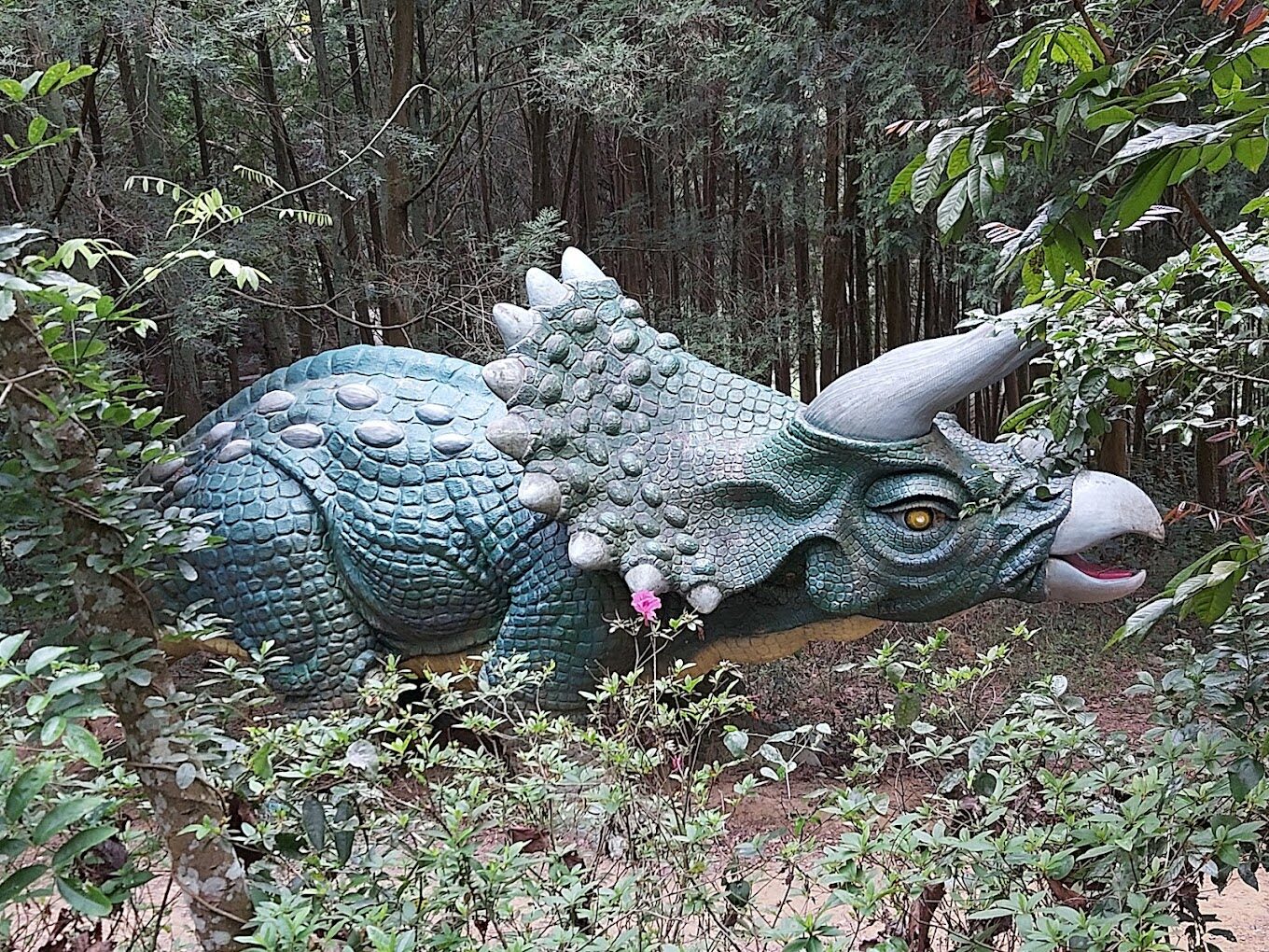 東勢林場必玩活動｜不可錯過的自然體驗