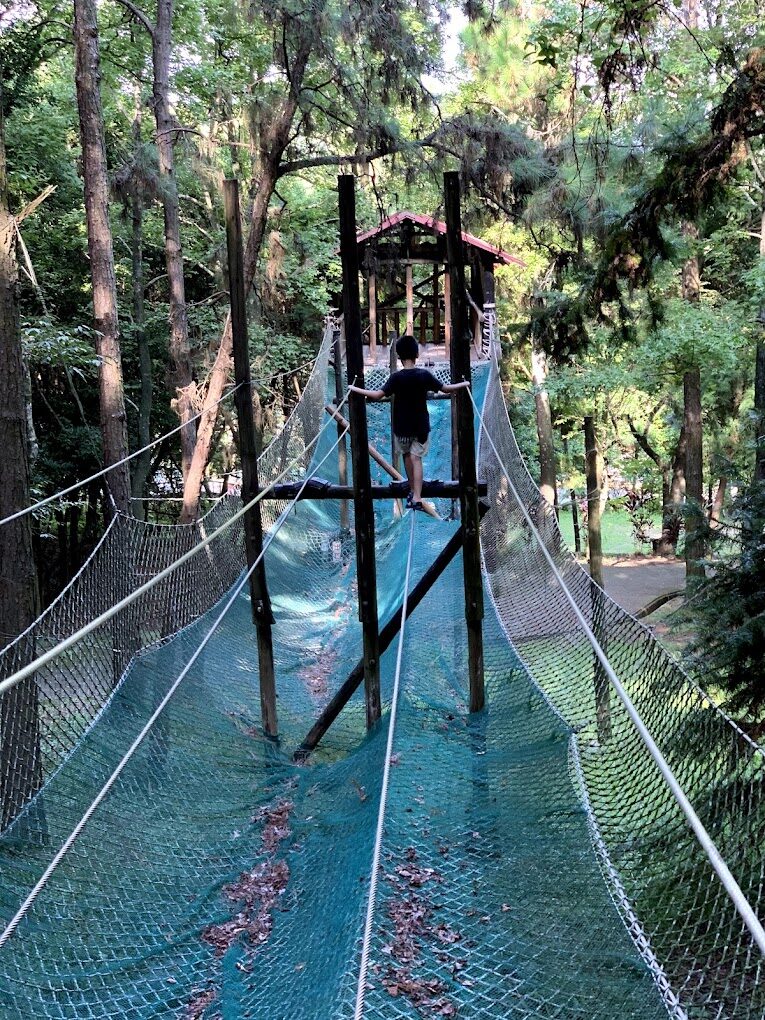 【2025】東勢林場旅遊攻略：這必去景點不容錯過