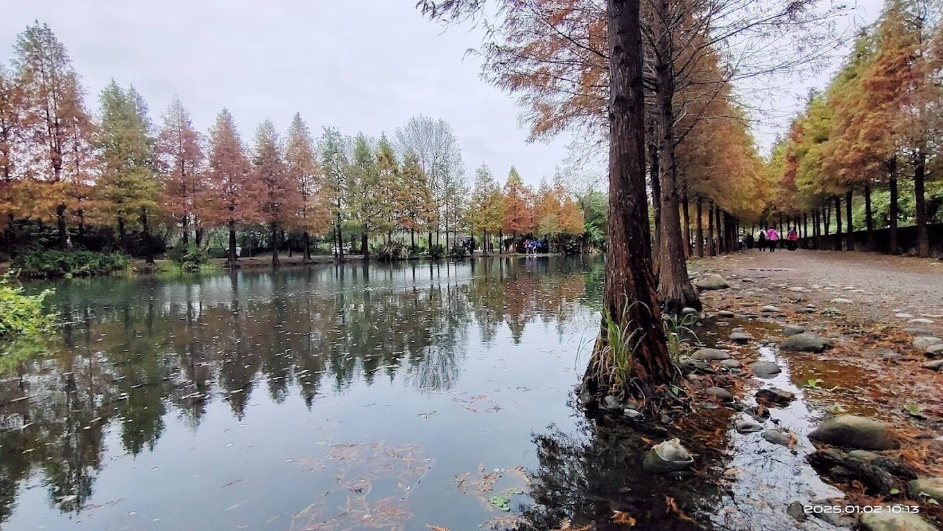 大溪河濱公園必遊景點|親子同樂的活動推薦