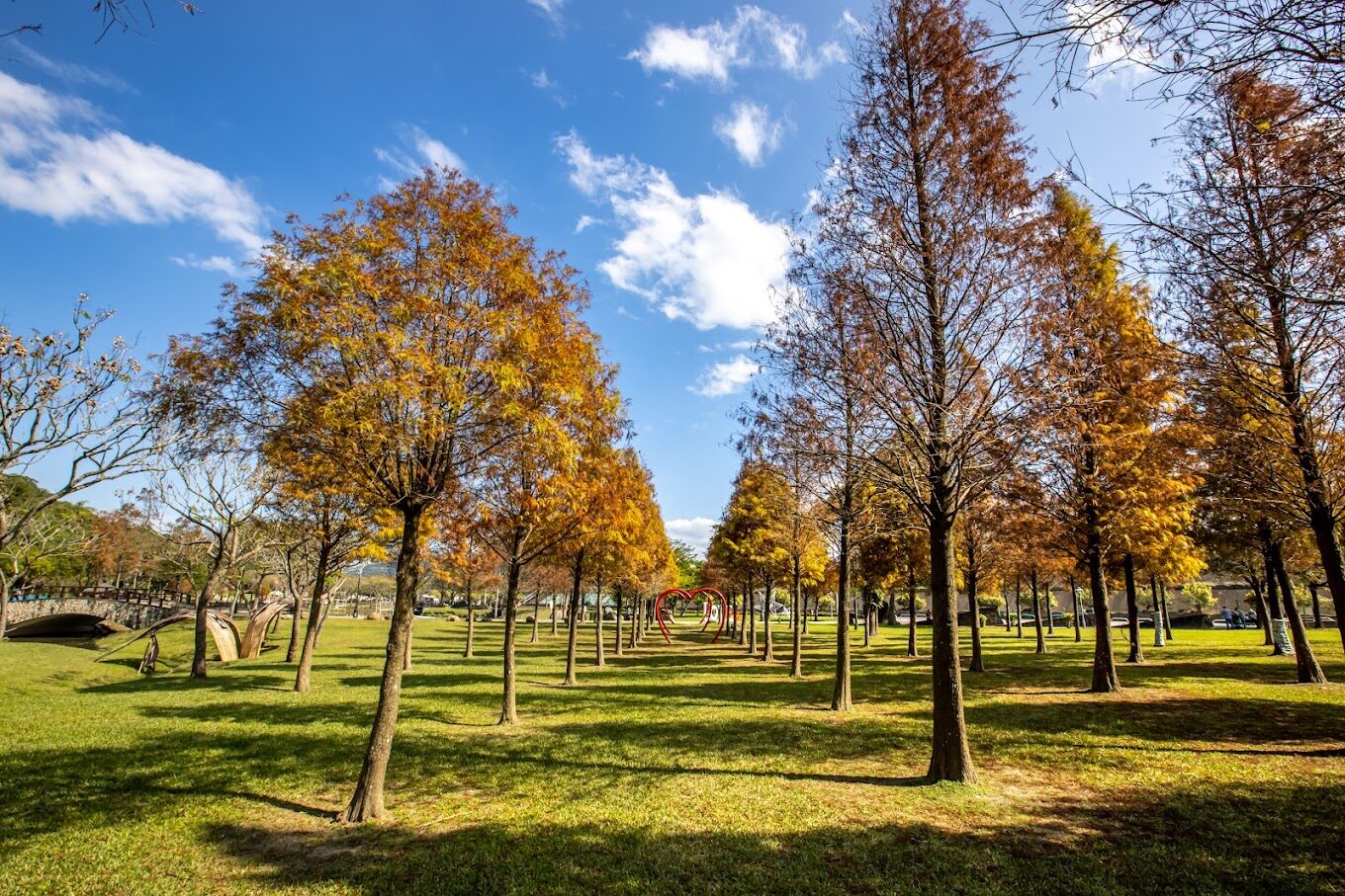 大溪河濱公園必遊景點｜親子同樂的活動推薦