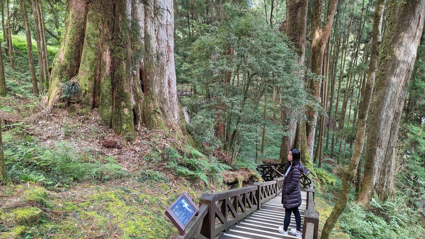 2025嘉義必去景點推薦｜不容錯過的魅力景點