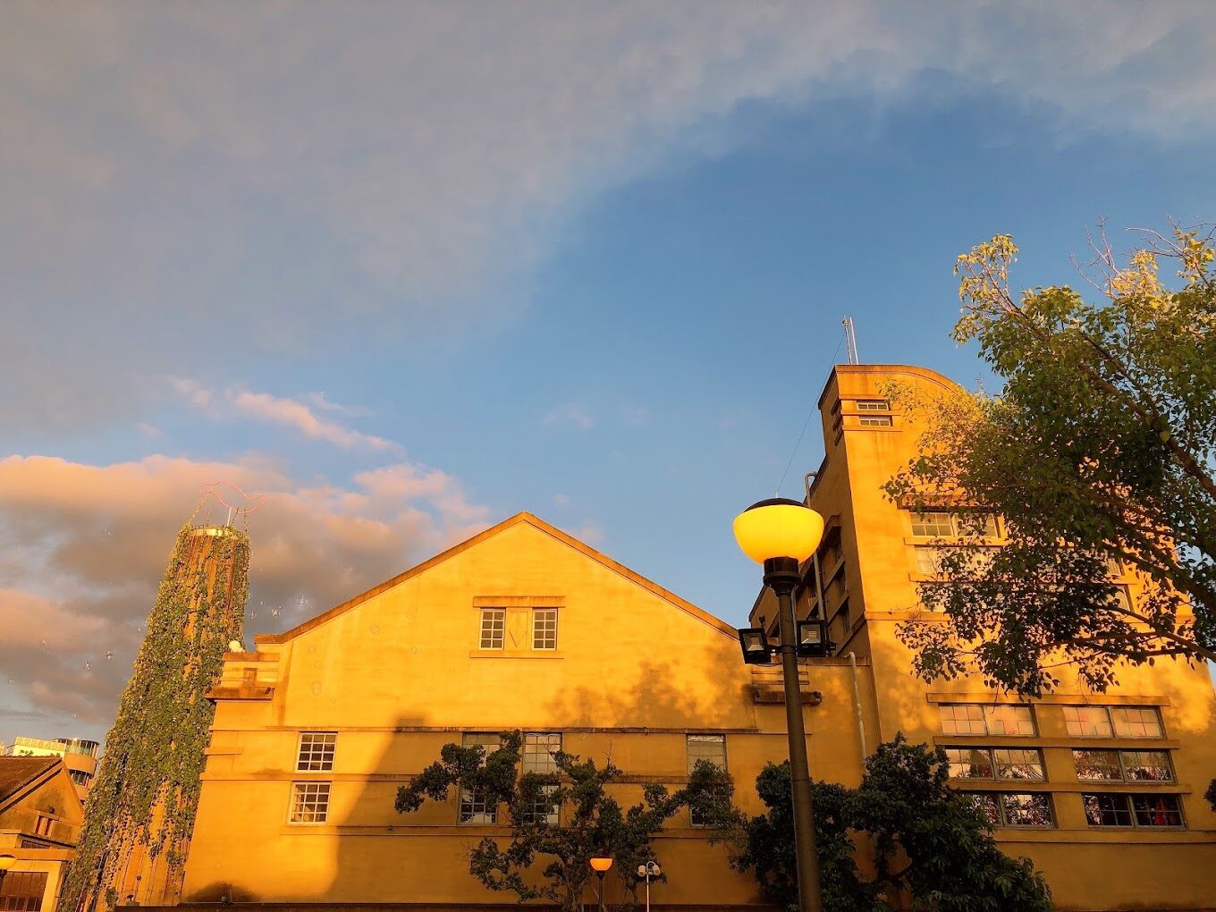 2025嘉義必去景點推薦｜不容錯過的魅力景點