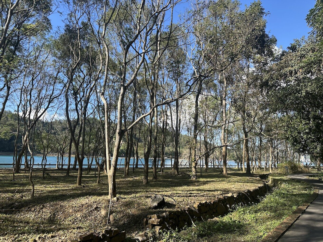 2025南投景點必去清單｜避開人潮的隱藏秘境