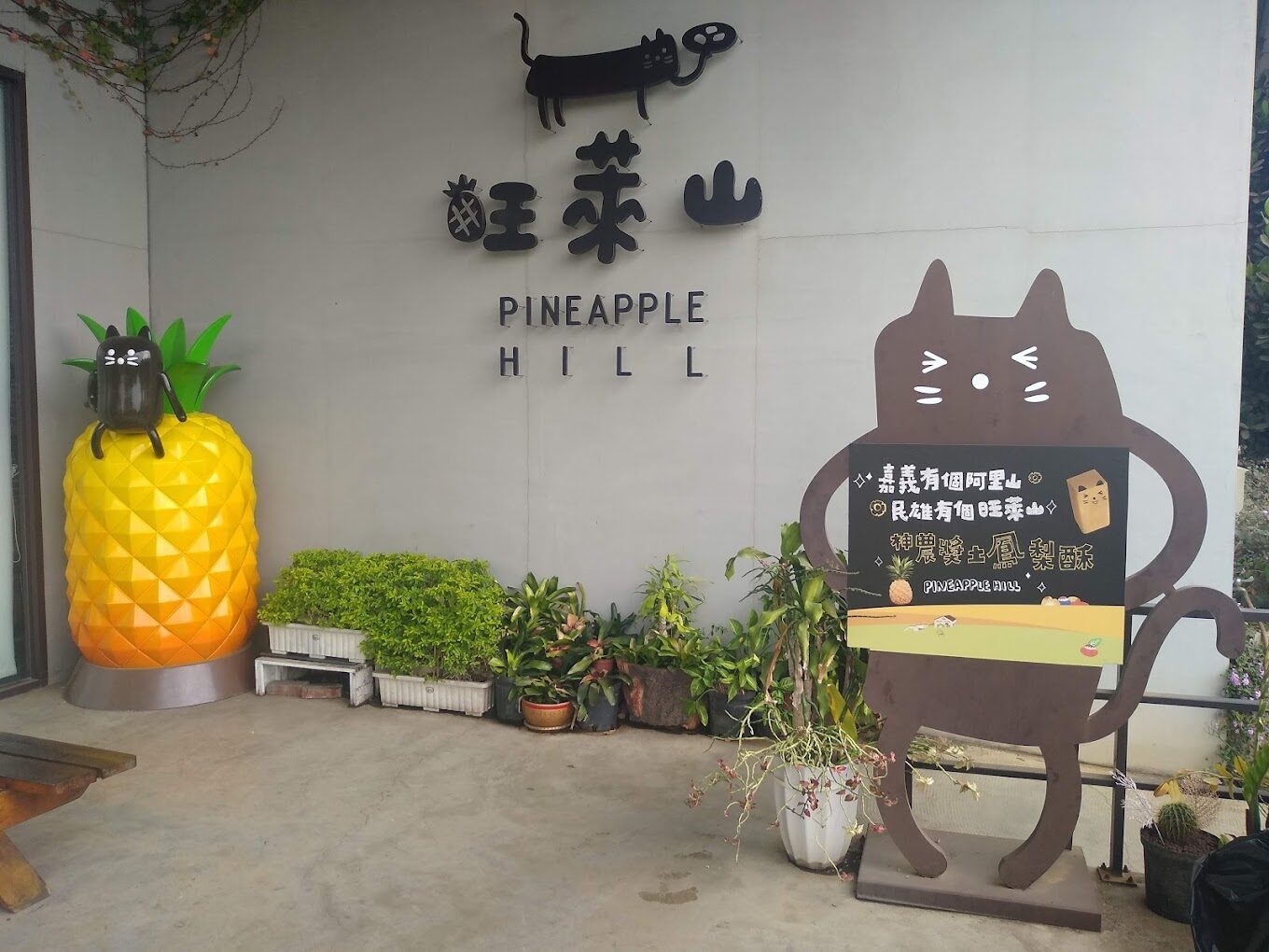 【2025】嘉義景點不容錯過的秘境