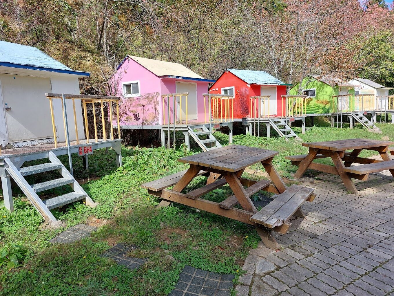 【2025】武陵農場必遊攻略｜避開人潮的秘訣，享受寧靜假期