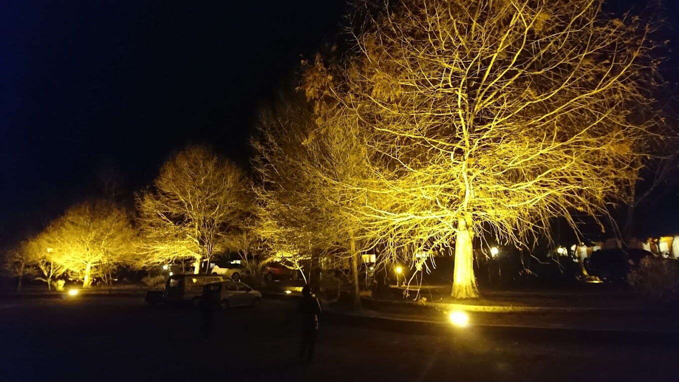 2025武陵農場住宿指南｜避開這容易讓人後悔的選擇！