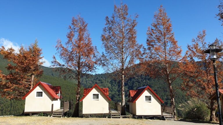 2025武陵農場住宿指南｜避開這容易讓人後悔的選擇！