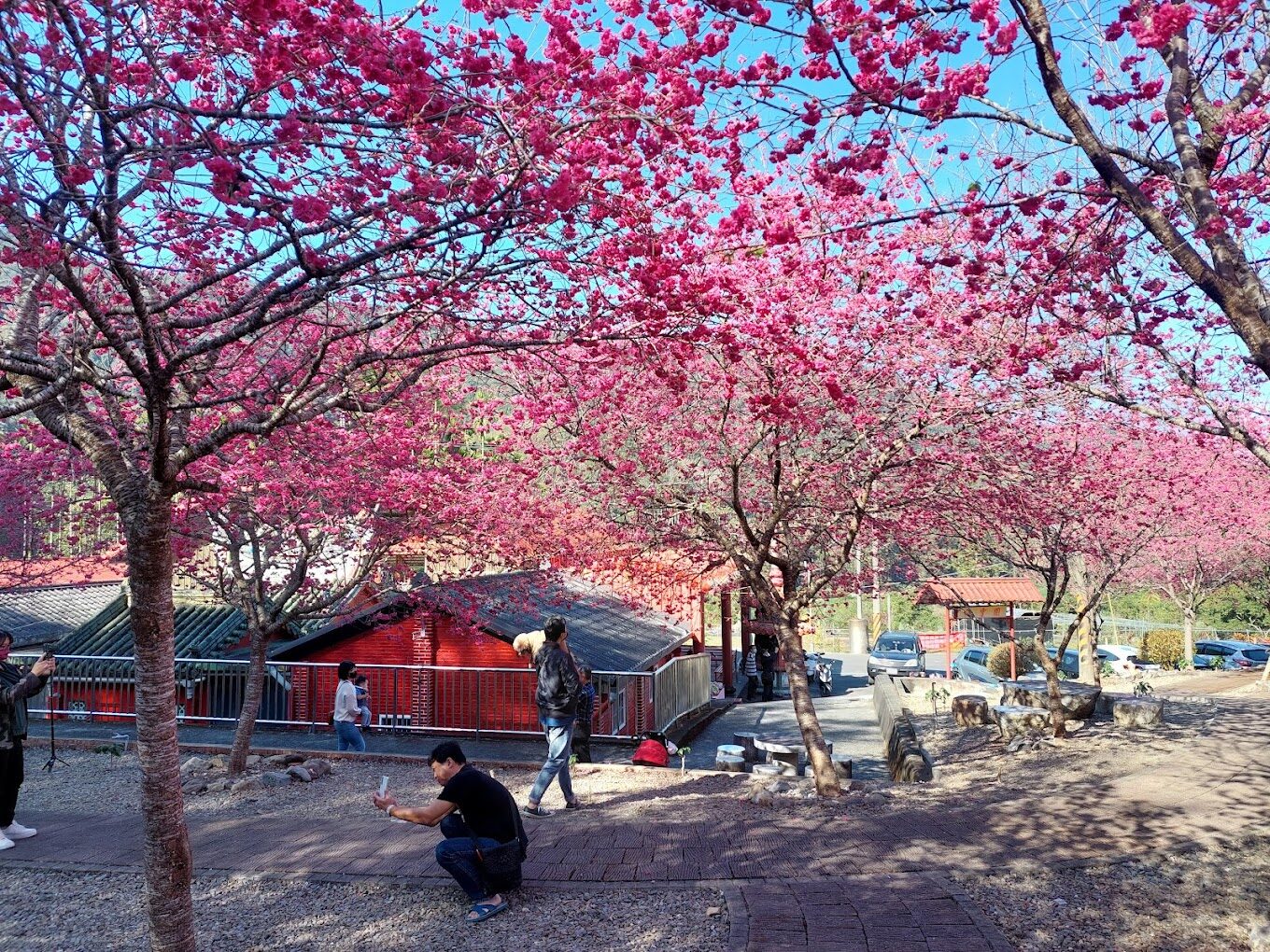 探索日月潭：2025年必訪的絕美景點及活動推介