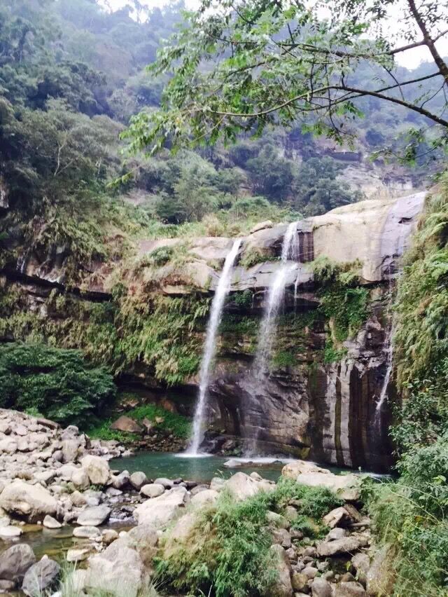 杉林溪必遊景點全攻略｜避開遊客擁擠的時間與私藏秘境